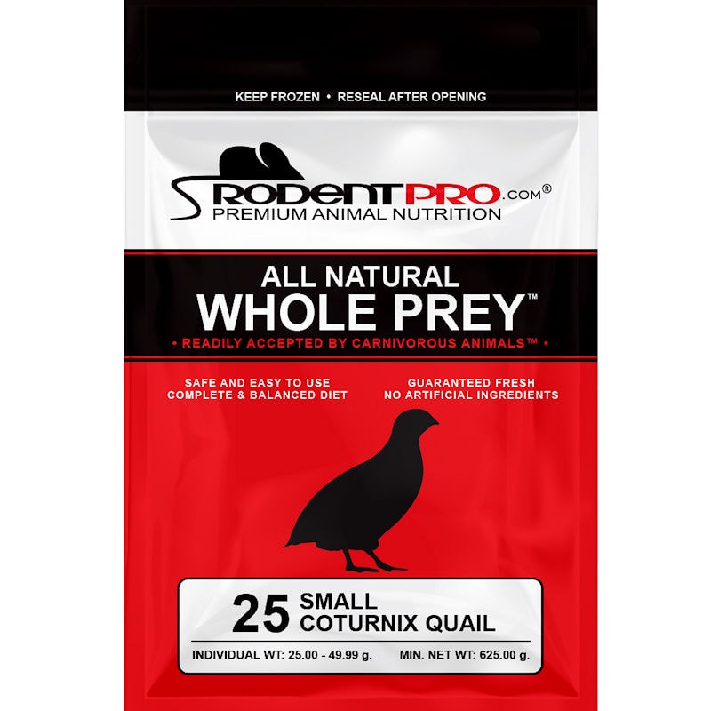 Frozen Quail Chicks Order Small Feeder Quail Online at Rodent Pro